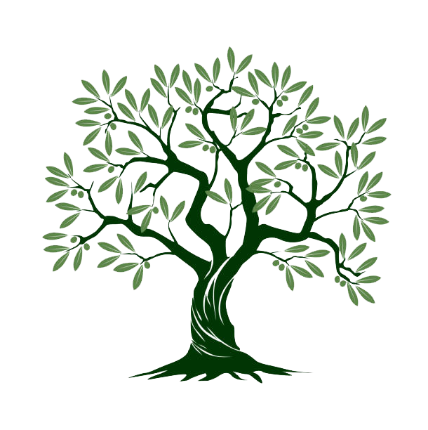 Zeytin Ağacı